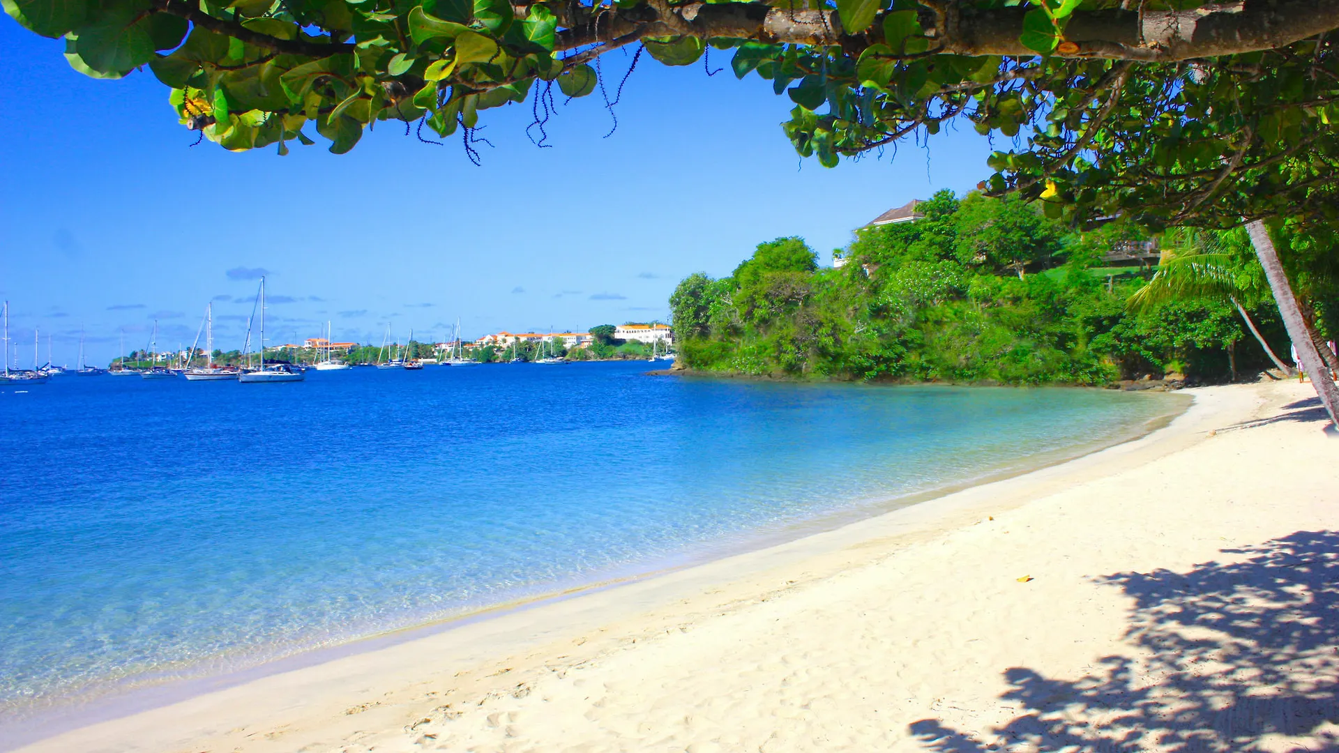 Calabash Hotel St. George's
